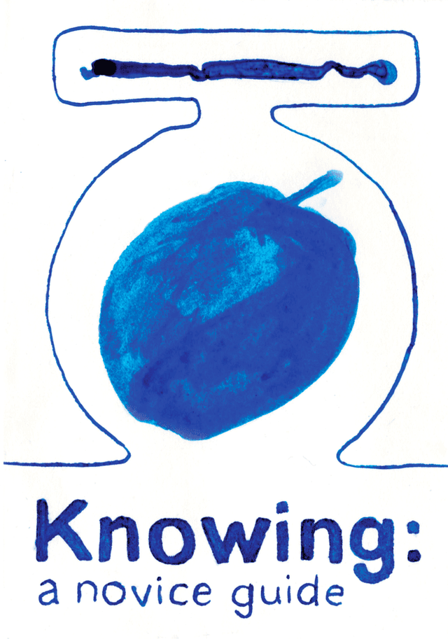 Cover of Knowing: A Novice Guide